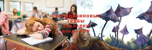 spice Киренск