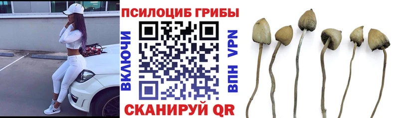 Галлюциногенные грибы мухоморы  Купить где  Арамиль 